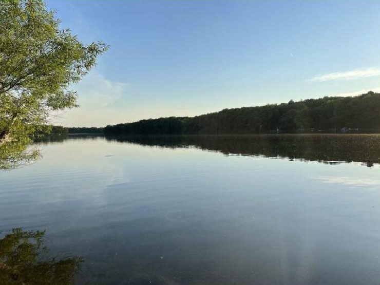 Chelsea Area Summer Lake Guide Chelsea Michigan